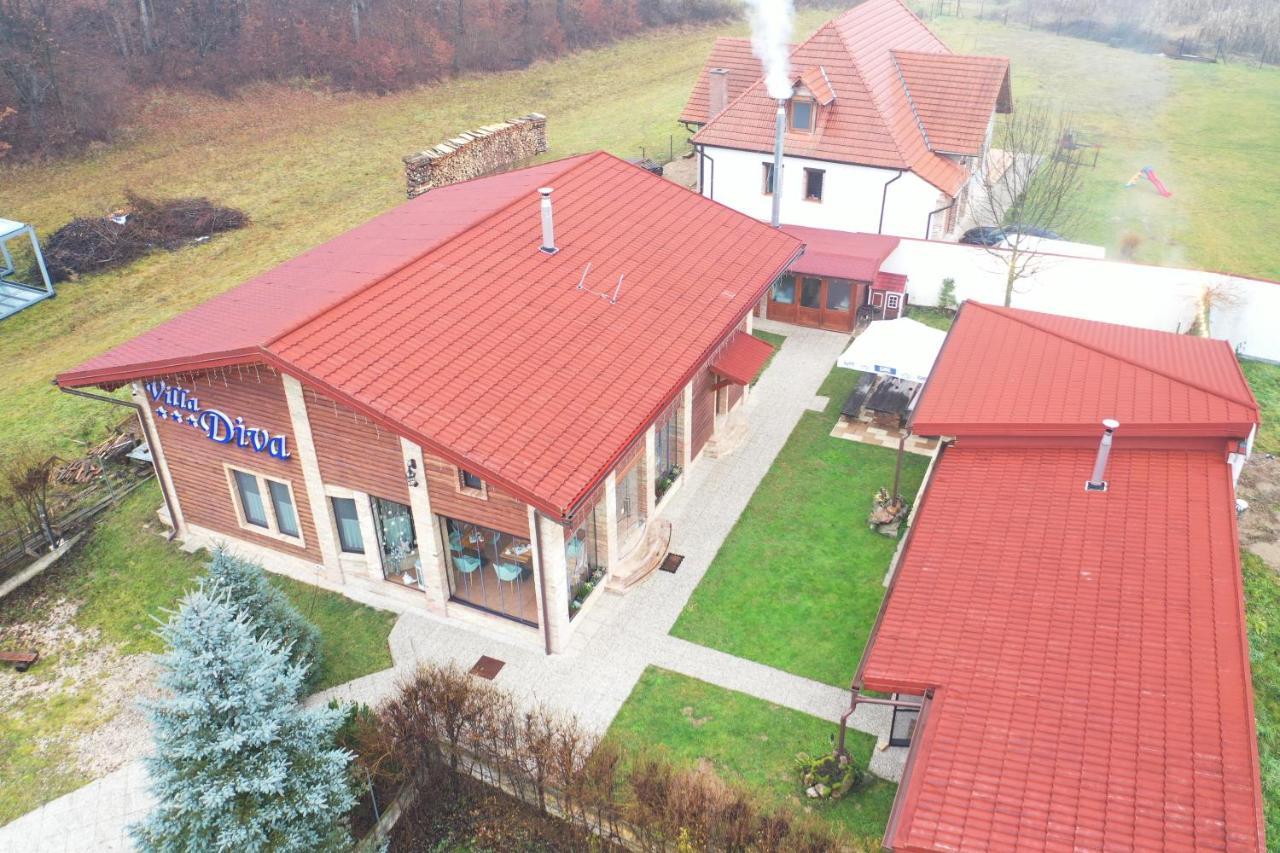Villa Diva Budureasa Exterior photo