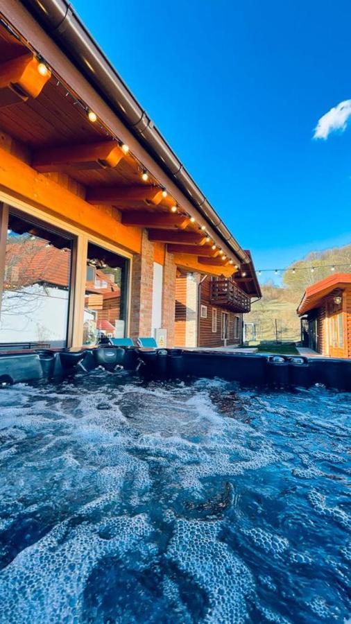 Villa Diva Budureasa Exterior photo