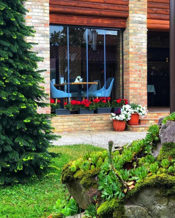 Villa Diva Budureasa Exterior photo