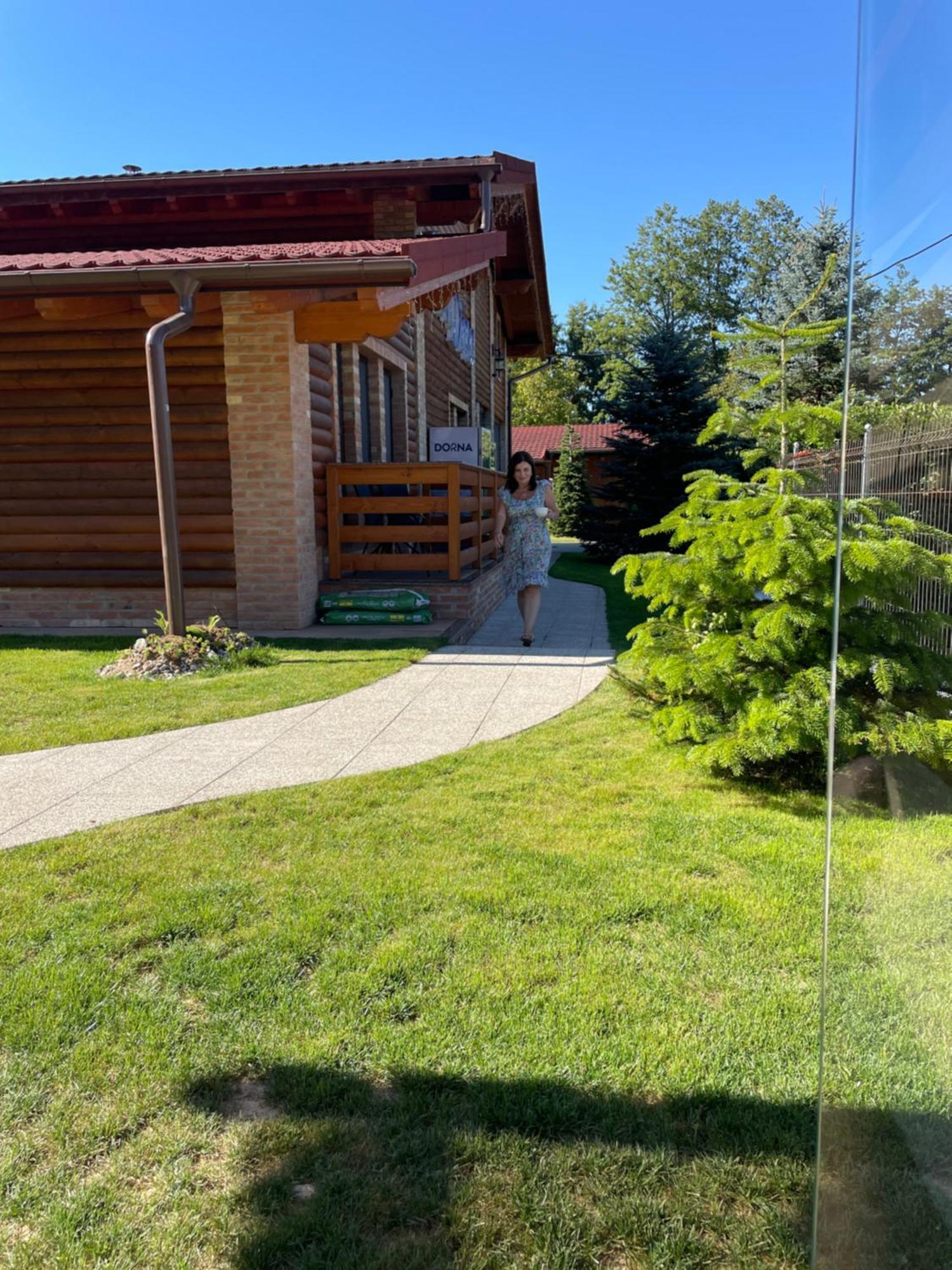 Villa Diva Budureasa Exterior photo